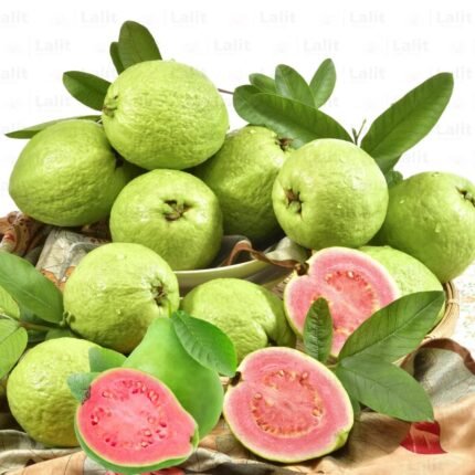 Taiwan Pink